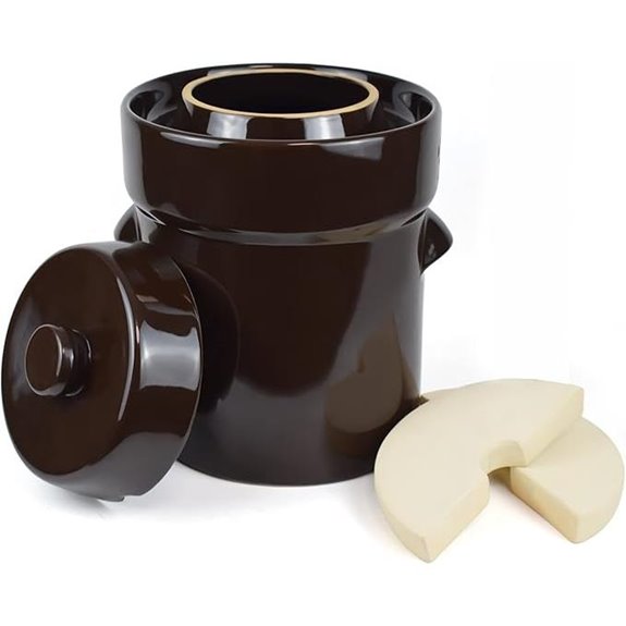 Fermentation Crock Jar 10L with Weights and Lid