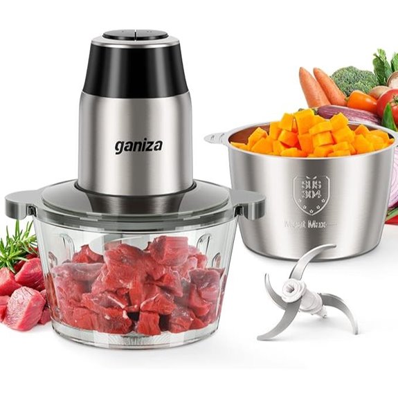 GANIZA 450W Food Processor with 2 Bowls and Blades