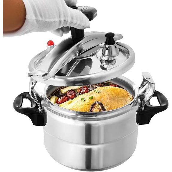 Aluminum Pressure Cooker 3L/3.17Qt Capacity