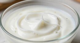 bacteria temperature yogurt sliminess