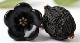 black stone flower dominates