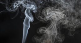 clean vs dirty smoke