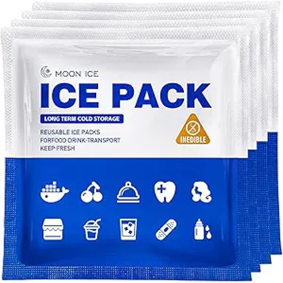 Blue Ice Packs for Coolers and Lunch Boxes