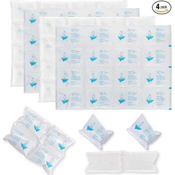 Ice Packs for Shipping & Coolers (4 Sheets)