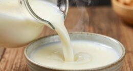 creamy evaporated milk substitute