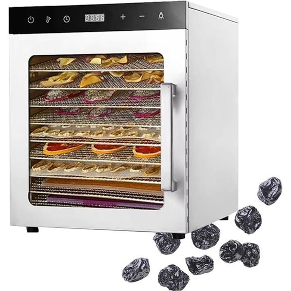 dehydrator with 10 trays