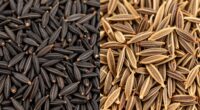 different black cumin and cumin