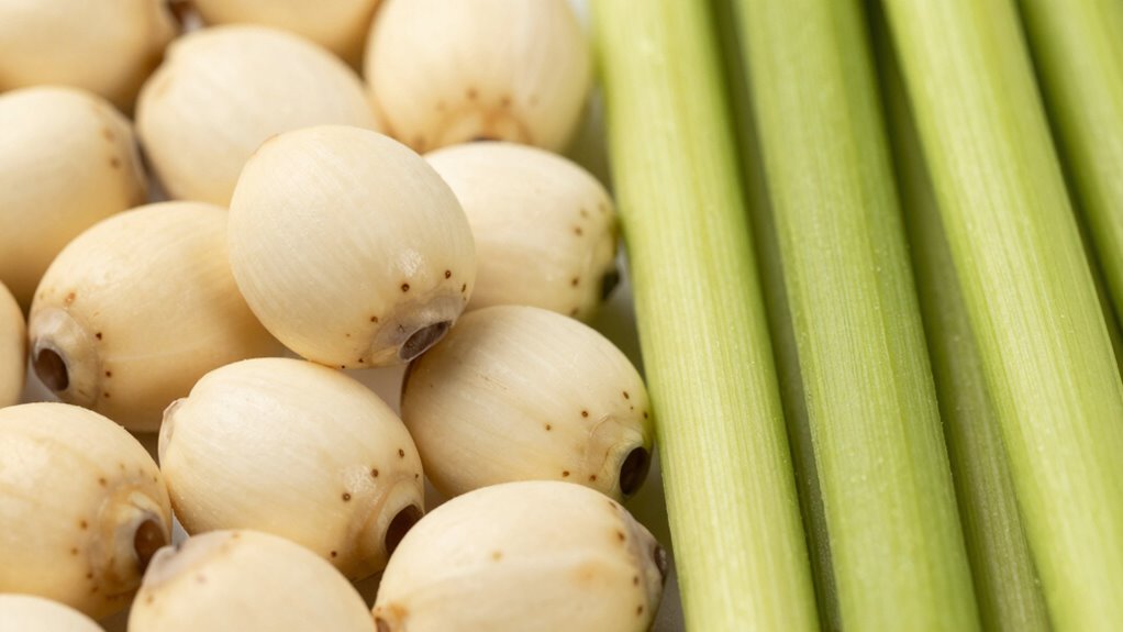 different lotus plant parts