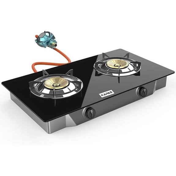 Portable Propane Stove with 2 Burners for Outdoors