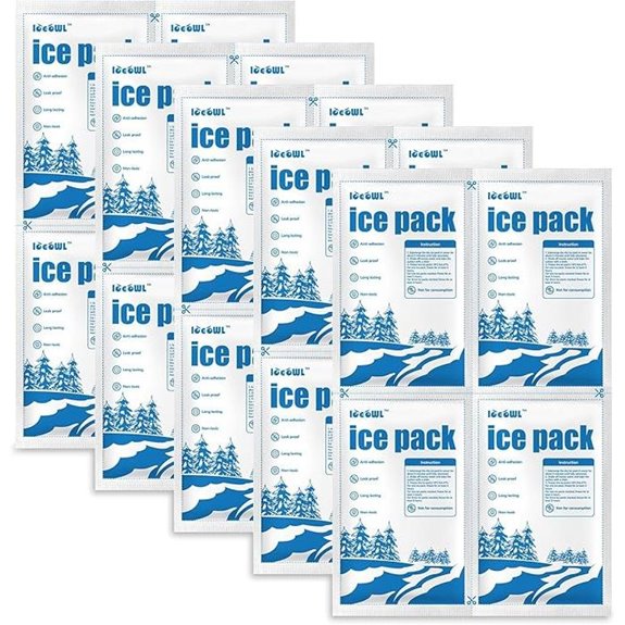 Long-Lasting Shipping Cold Packs for Food & Lunch Bags