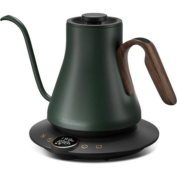 Gooseneck Electric Kettle with Temp Control