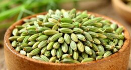 enhance dishes with fennel