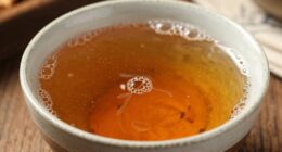 fermented tangy kanji explanation