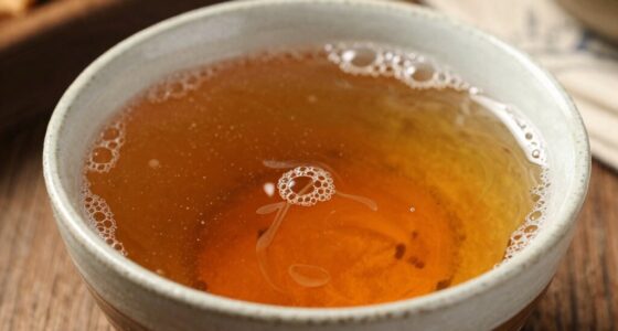 fermented tangy kanji explanation