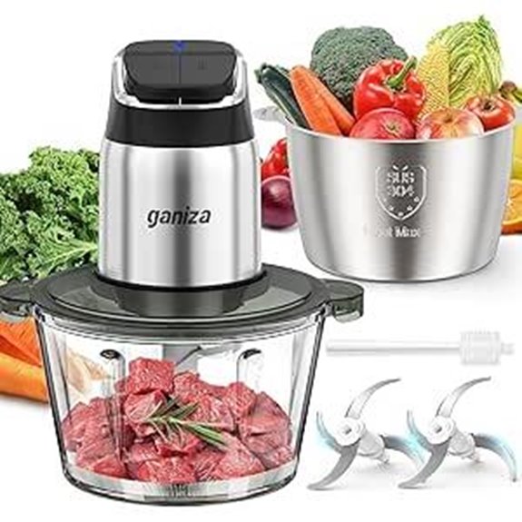 Ganiza Food Processor with Blades and Bowls
