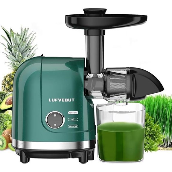 Vegetable Juicer for Celery Wheatgrass Spinach Ginger