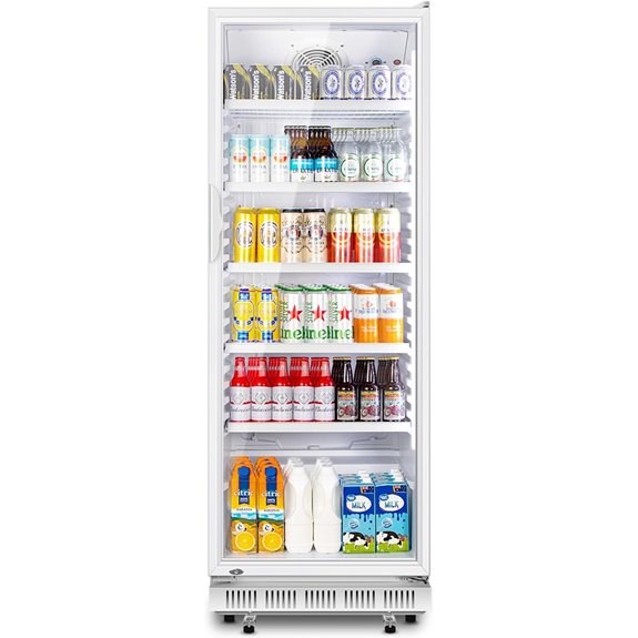 Tylza Commercial Glass Door Beverage Cooler (360L)