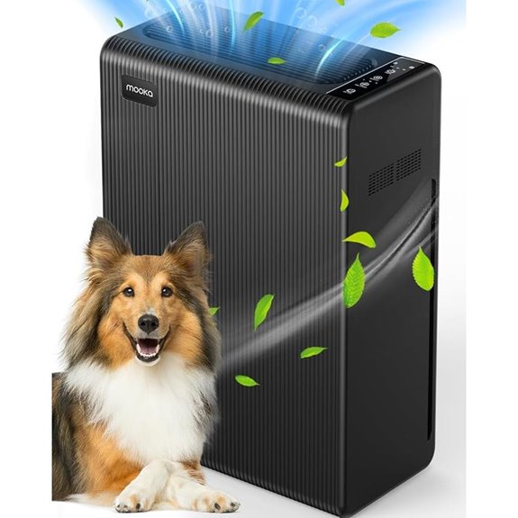 Large Room Air Purifier with HEPA Filter