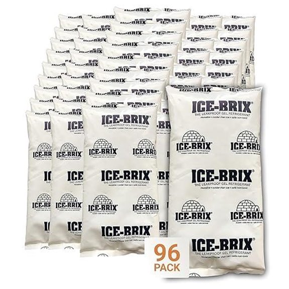 Aviditi ICE-BRIX Reusable Ice Packs (96 Pack)