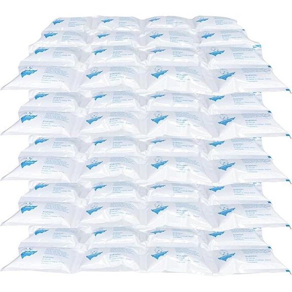Reusable Leak-Proof Ice Packs for Shipping and Lunches