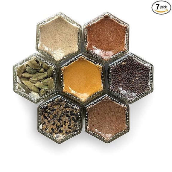 Indian Organic Seasonings Gift Set in Magnetic Jars