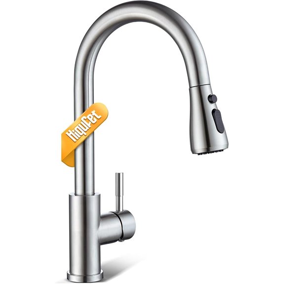 Kitchen Faucet with Pull Down Sprayer and High Arc