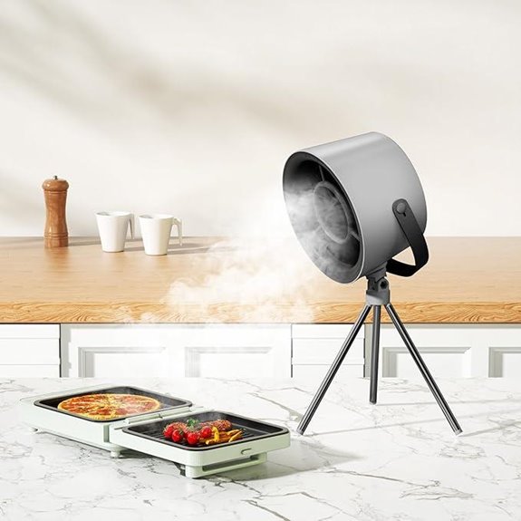 Portable Range Hood with Changeable Filter