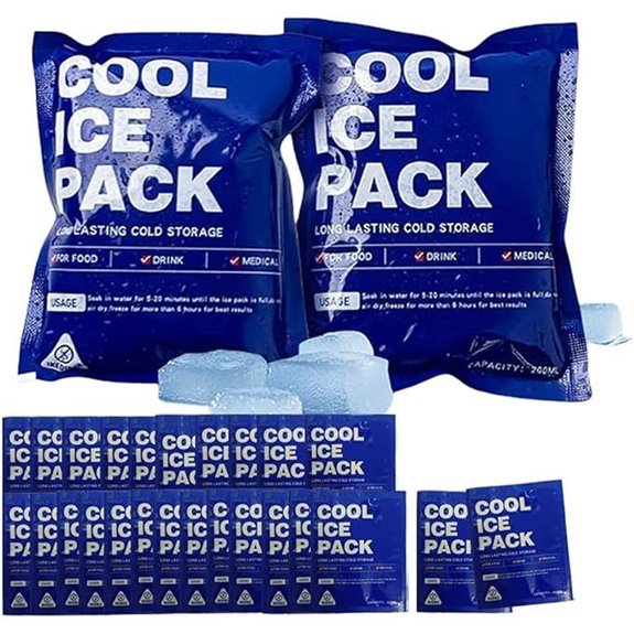 Reusable Cold Packs for Shipping and Storage