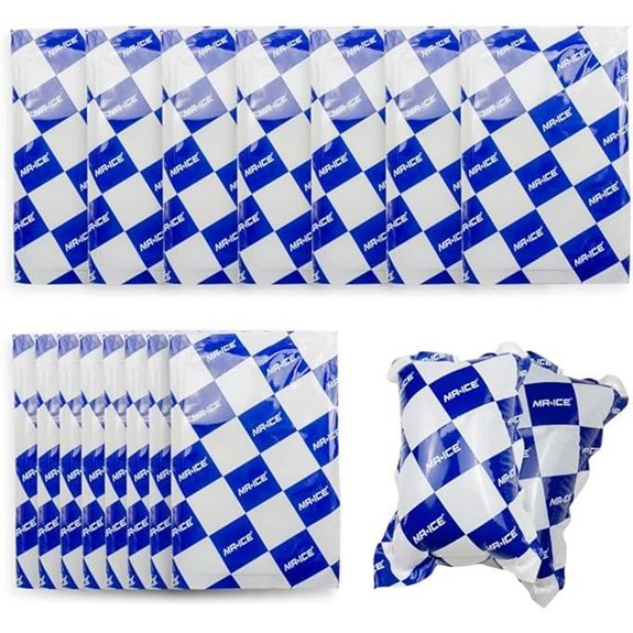 Reusable Cold Packs for Shipping & Storage