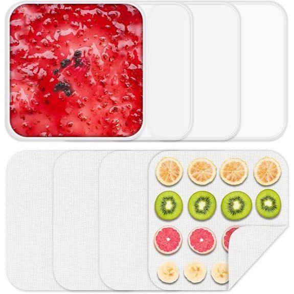 Silicone Food Dehydrator Trays & Mesh Mats (4 Pcs)