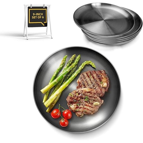 Stainless Steel 6-Piece Dinner Plate Set