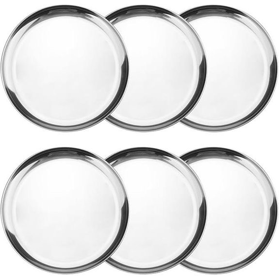6 Pack Stainless Steel Dinner Plates for Camping