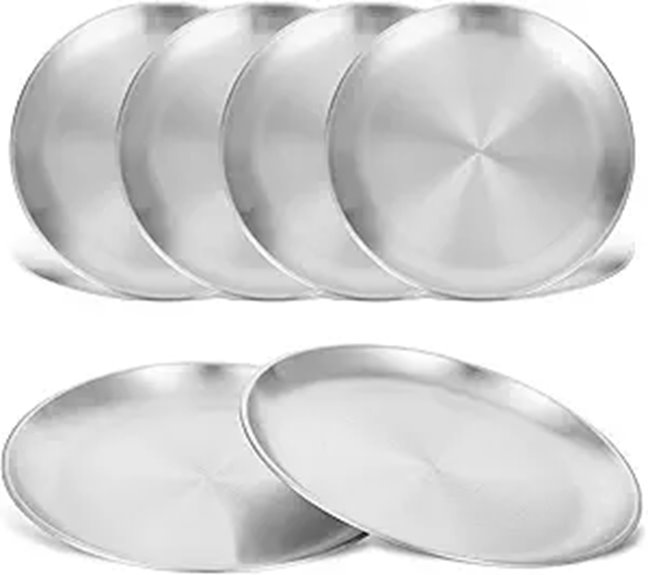 6-Piece Stainless Steel Dinner Plates Set