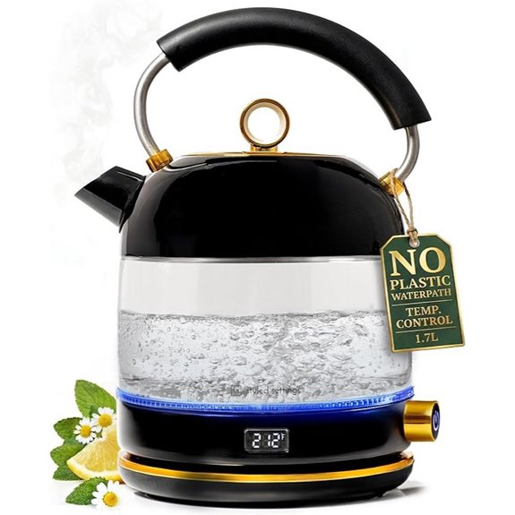 Stainless Steel Electric Kettle with Auto Shut-Off