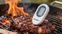 top grilling meat thermometers