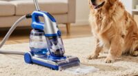 top pet carpet cleaners