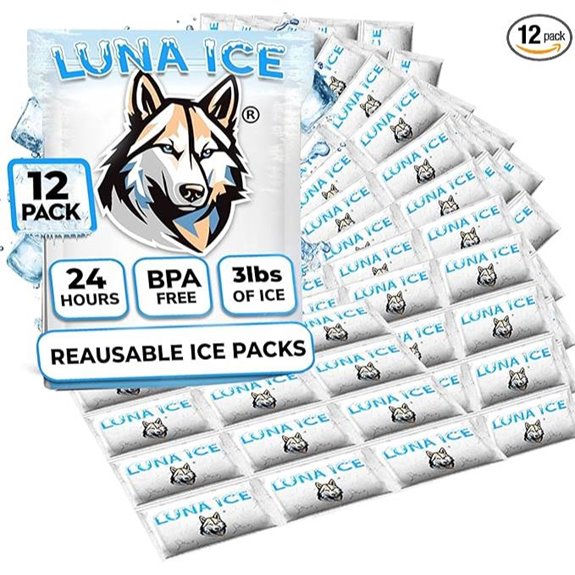 Dry Ice Packs for Shipping (12 Pack 3 lb)