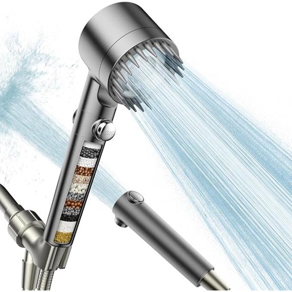 Filtered Handheld Shower Head with Multiple Modes