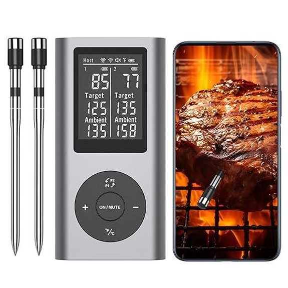 Wireless Meat Thermometer with Probes and Bluetooth