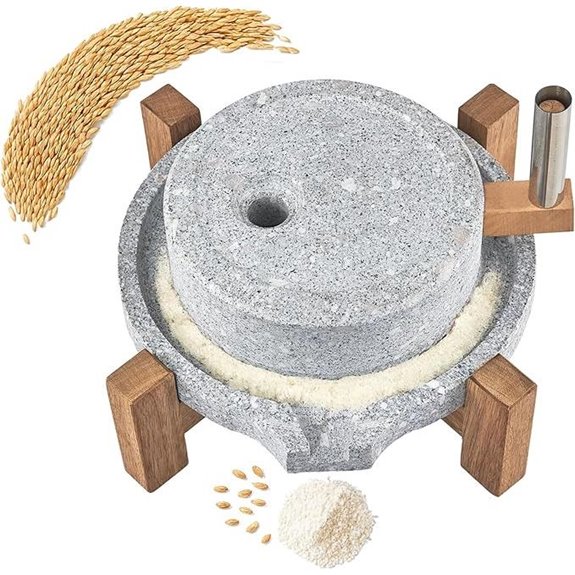 Stone Grain Mill with Wooden Base for Dry & Wet Use