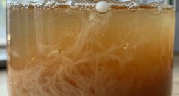 magical yet rule based fermentation