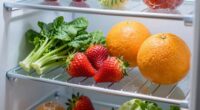 proper refrigeration practices