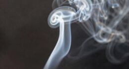 smoke color indicates flavor purity