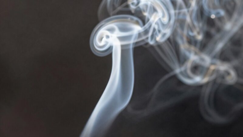 The Smoke Color Detail That Tells You If Flavor Will Be Clean - The ...