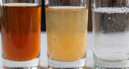 types of cooking liquids