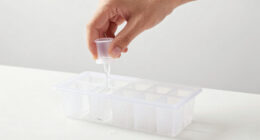 10 Best Best Clear Ice Mold Set in 2026
