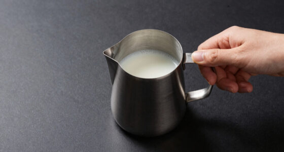 10 Best Milk Frother and Steamer in 2026 — The Ultimate Guide