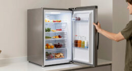 10 Best Upright Freezer for Home Kitchen in 2026