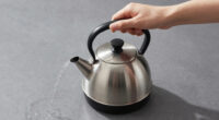 11 Best Best Tea Kettle Electric Stainless Steel in 2026