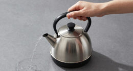 11 Best Best Tea Kettle Electric Stainless Steel in 2026